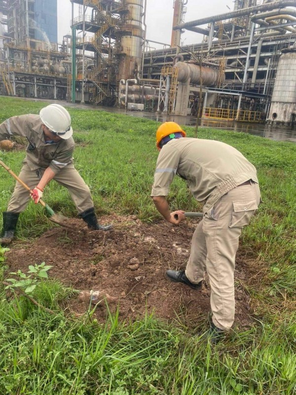 Công ty Đạm Ninh Bình tổ chức phát động tết trồng cây xuân Quý Mão 2023