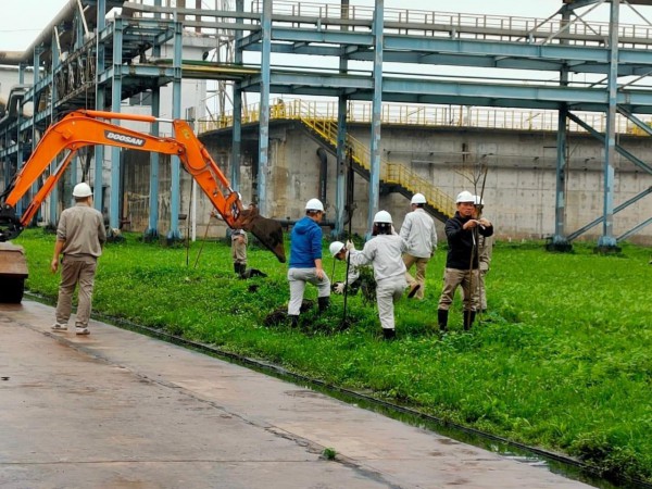 Công ty Đạm Ninh Bình tổ chức phát động tết trồng cây xuân Quý Mão 2023