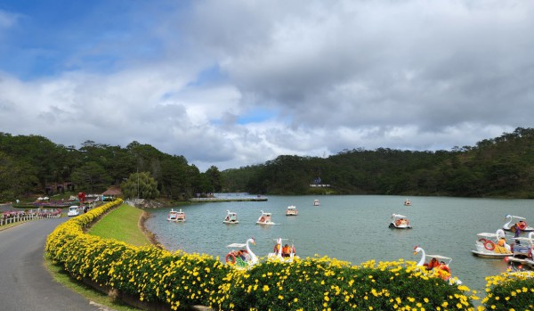 Đà Lạt: Vì sao nước sinh hoạt chuyển màu đỏ sậm, có mùi hôi tanh?