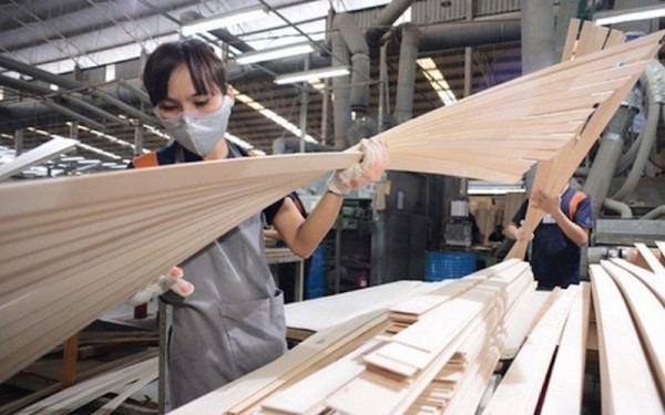 Điều kiện nào để gỗ dán Việt Nam duy trì xuất khẩu Top 5 thế giới? Điều kiện nào để gỗ dán Việt Nam duy trì xuất khẩu Top 5 thế giới?