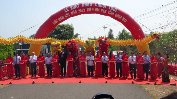 Đồng Nai: Xuất hơn nửa triệu tấn chuối sang Trung Quốc, Hàn Quốc, Nhật Bản và Malaysia Đồng Nai: Xuất hơn nửa triệu tấn chuối sang Trung Quốc, Hàn Quốc, Nhật Bản và Malaysia