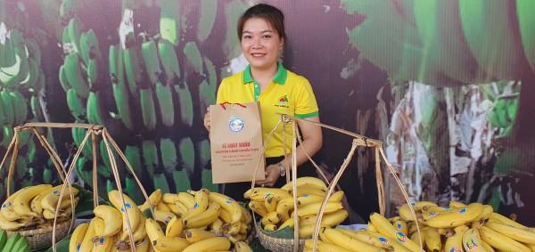 Đồng Nai: Xuất hơn nửa triệu tấn chuối sang Trung Quốc, Hàn Quốc, Nhật Bản và Malaysia Đồng Nai: Xuất hơn nửa triệu tấn chuối sang Trung Quốc, Hàn Quốc, Nhật Bản và Malaysia