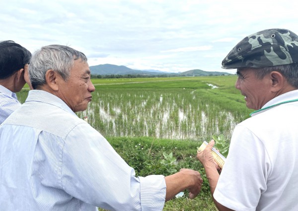 Giải phóng mặt bằng cao tốc Nha Trang - Vân Phong: Không để dân thiệt thòi