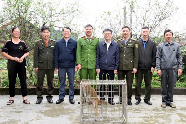 Hà Tĩnh: Người dân giao nộp 3 cá thể khỉ quý hiếm cho kiểm lâm