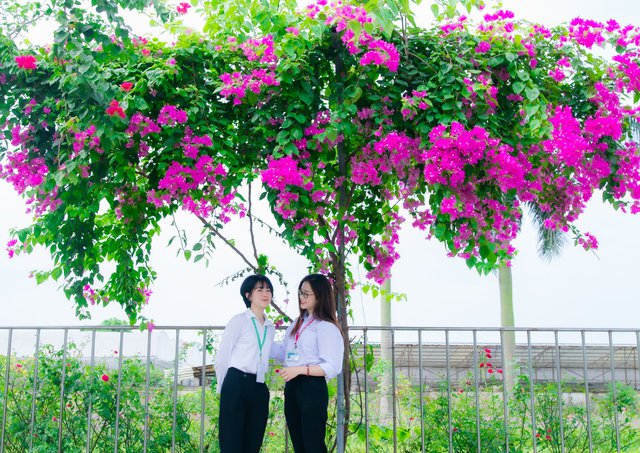 Học viện Nông nghiệp Việt Nam thông báo tuyển sinh năm 2023 - Ảnh 3.