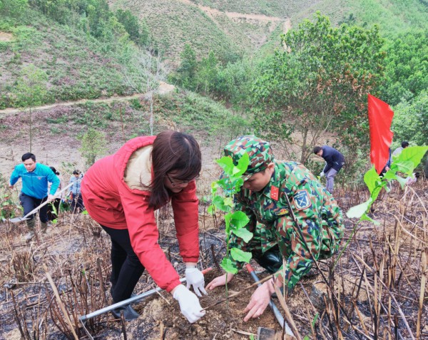 Lan tỏa phong trào “Tết trồng cây” ở Ba Chẽ, Quảng Ninh