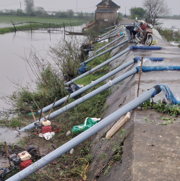 Mưa lớn, 1.852 ha lúa mới gieo trồng ở Quảng Trị chìm trong lũ