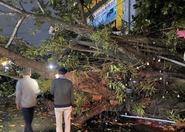 Nhiều trận mưa đá xảy ra tại miền núi phía bắc