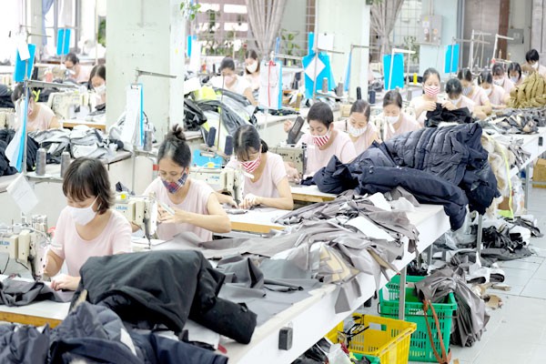 Những xu hướng chính trong năm Quý Mão