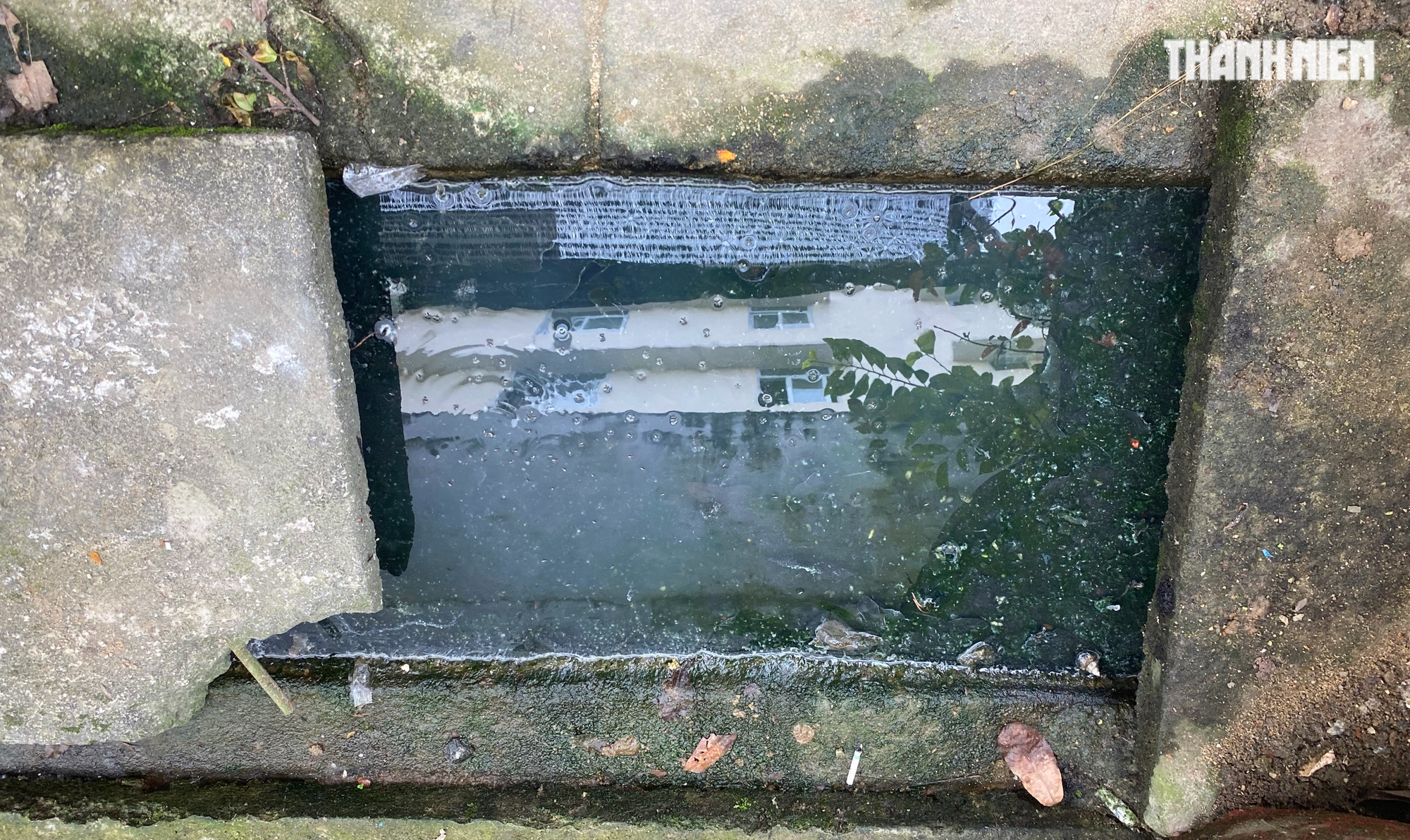 Quảng Ngãi: Nước thải sinh hoạt của Bệnh viện Nội tiết rò rỉ qua khu dân cư