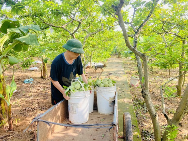 Quảng Ninh chỉ còn 258 hộ nghèo