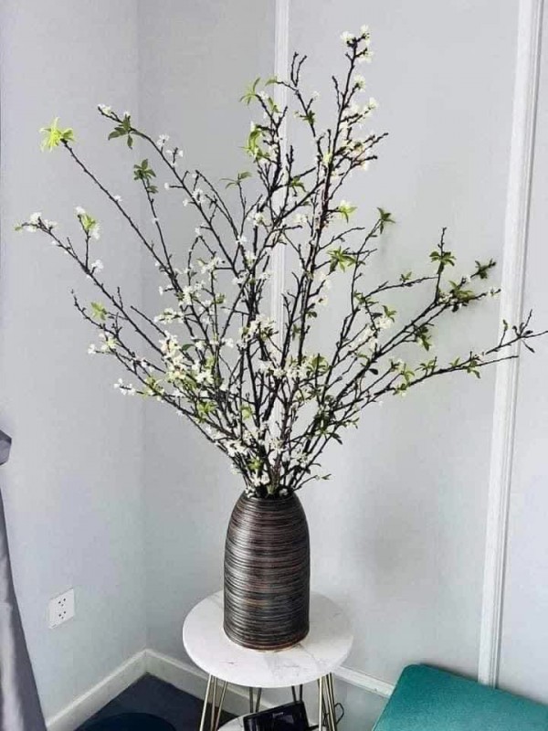Rộ mốt chi tiền mua cành hoa mận rừng chơi sau Tết