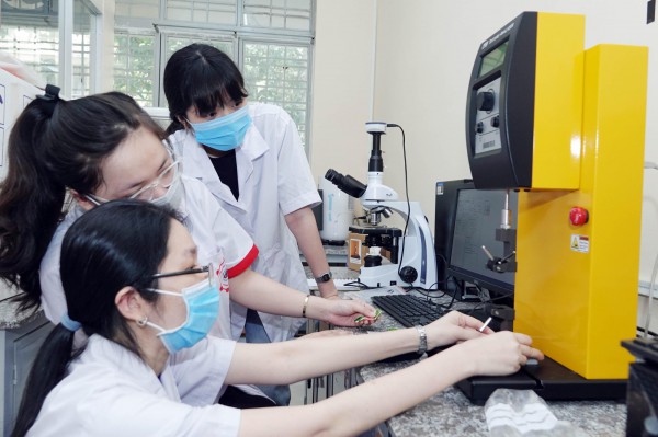 Sinh viên có nên học lại ngành khác?