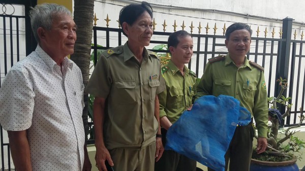 TP.HCM: Bắn gây mê khỉ phá phách nhà dân ở Q.7