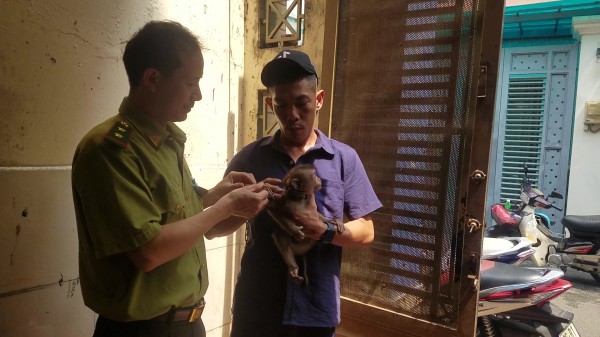 TP.HCM: Gọi video cho kiểm lâm nhờ hướng dẫn bắt khỉ vào nhà TP.HCM: Gọi video cho kiểm lâm nhờ hướng dẫn bắt khỉ vào nhà