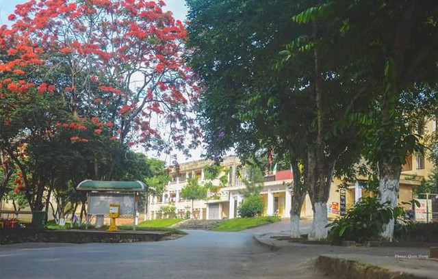 Trường Đại học Lâm nghiệp tuyển sinh đại học năm 2023 - Ảnh 2.