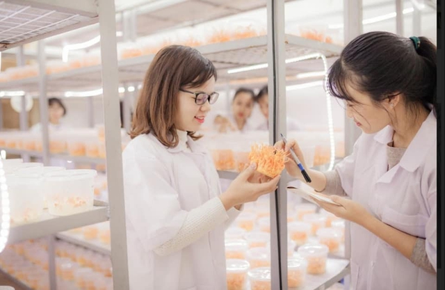 Trường Đại học Lâm nghiệp tuyển sinh đại học năm 2023 - Ảnh 3.