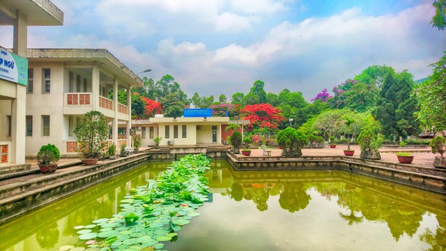 Trường Đại học Ngoại ngữ (ĐHQGHN) dự kiến tuyển sinh năm 2023  - Ảnh 2.