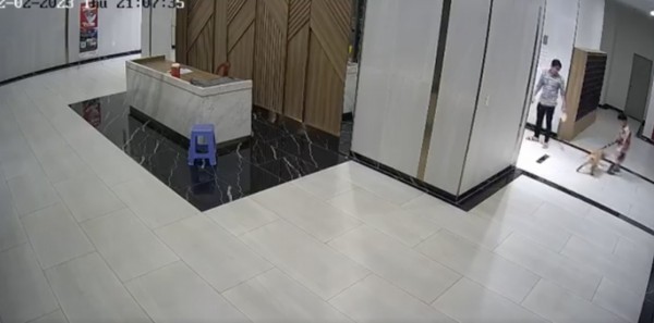 UBND TP.HCM chỉ đạo xử lý nghiêm vụ chủ chó đánh người ở chung cư Quận 7 UBND TP.HCM chỉ đạo xử lý nghiêm vụ chủ chó đánh người ở chung cư Quận 7
