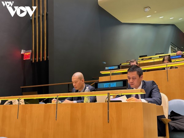 Việt Nam kêu gọi giải quyết các xung đột quốc tế bằng biện pháp hòa bình