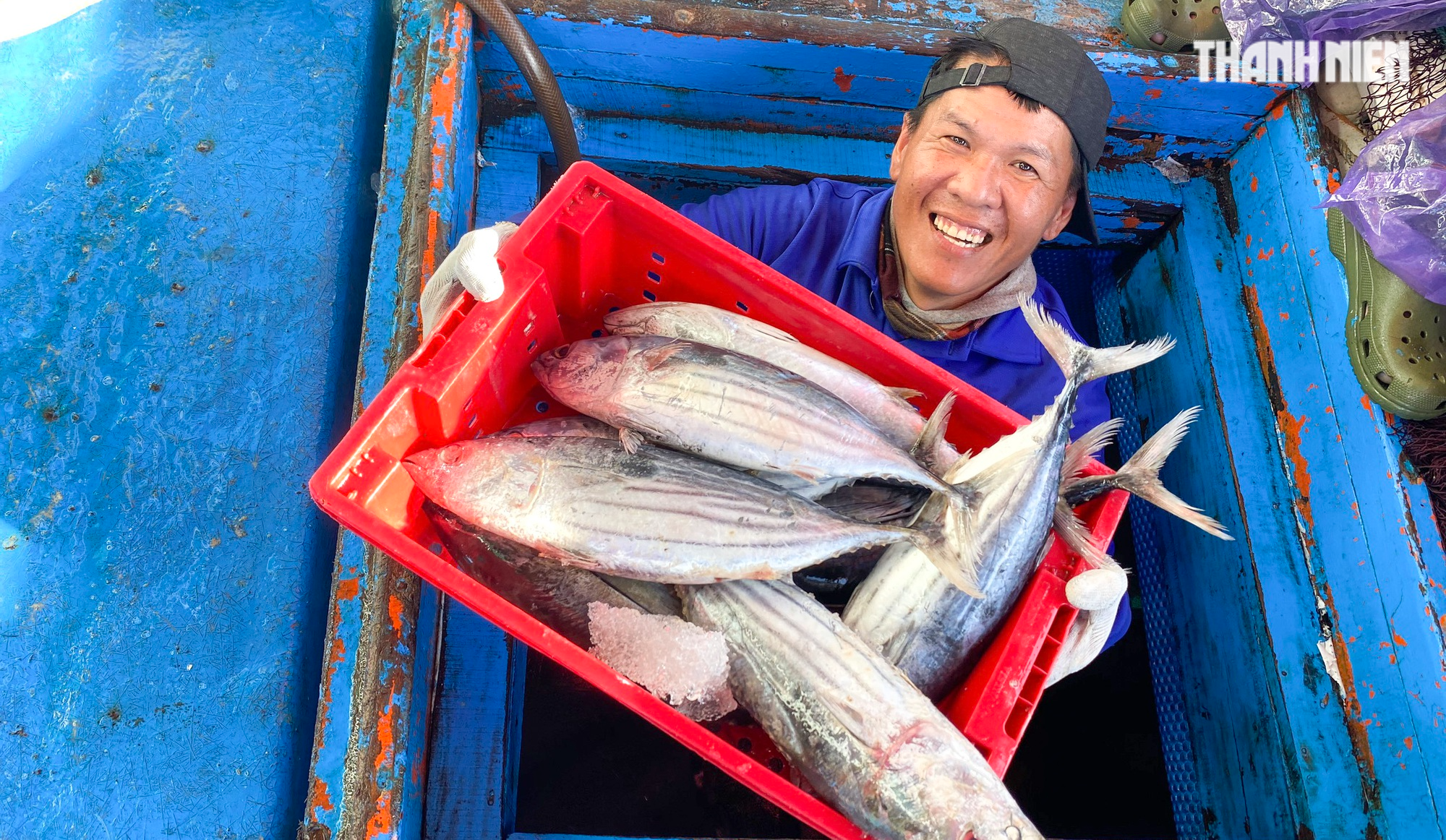 Xuyên tết ở Hoàng Sa, ngư dân Quảng Ngãi trúng đậm cá