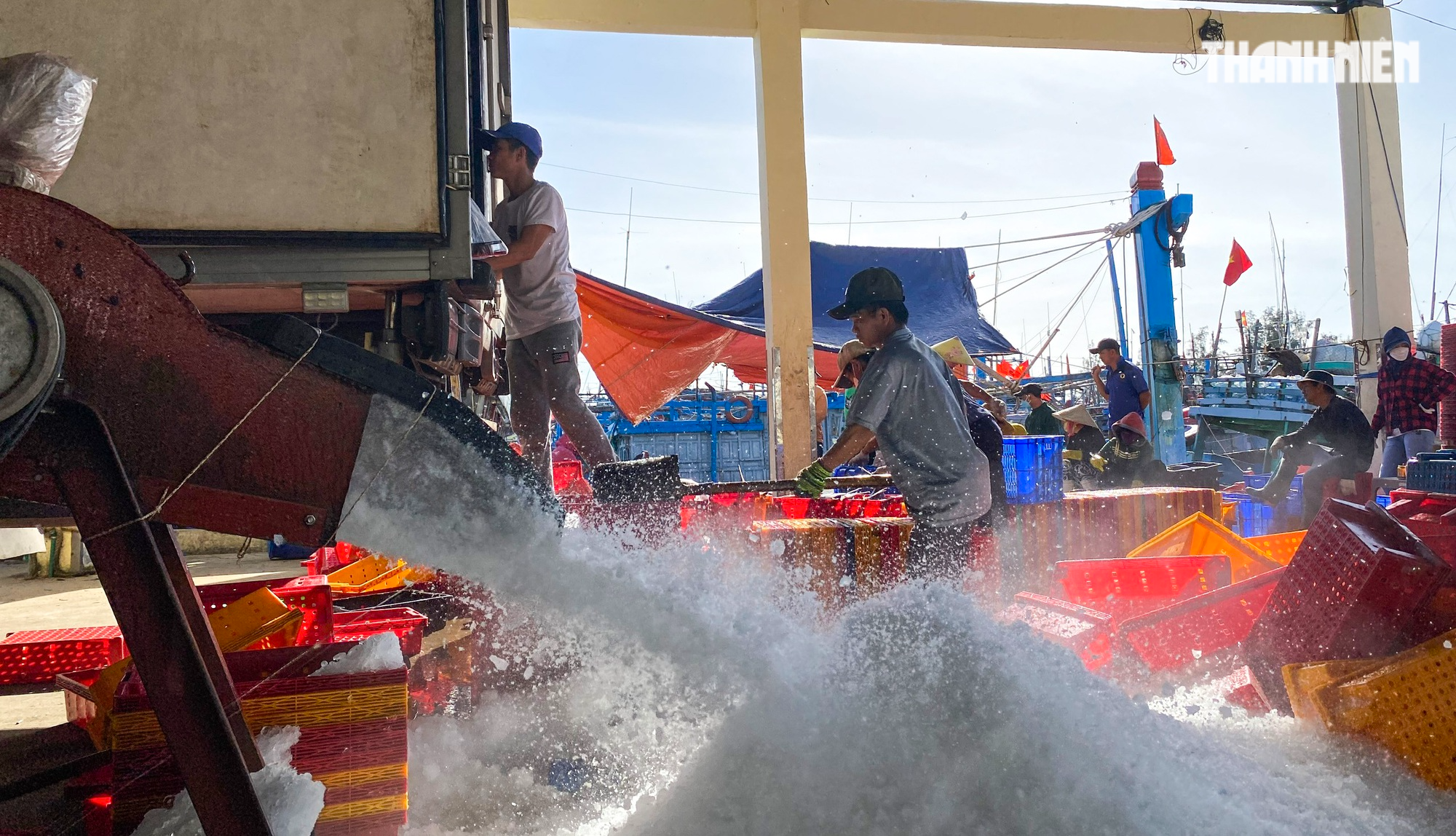 Xuyên tết ở Hoàng Sa, ngư dân Quảng Ngãi trúng đậm cá