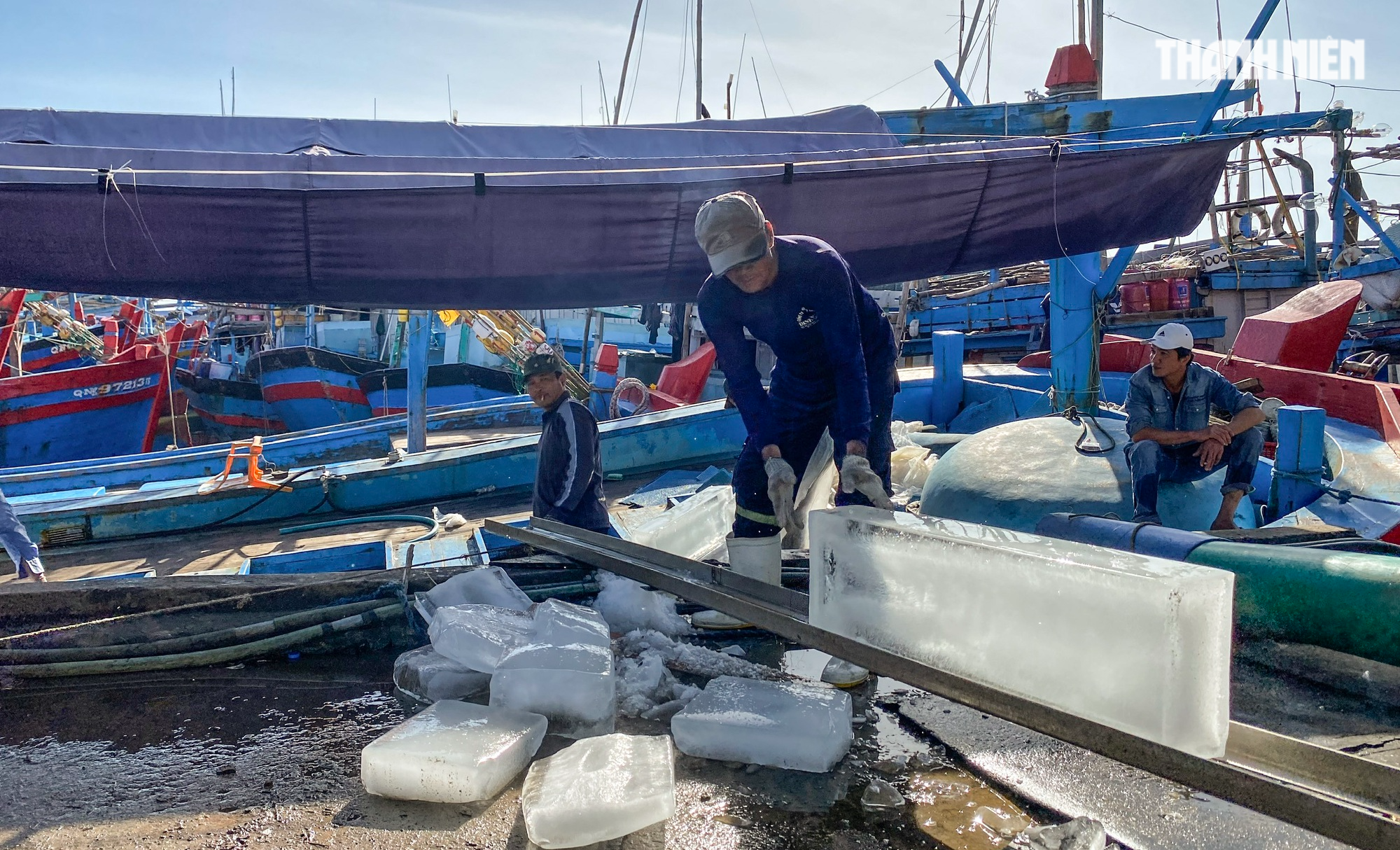 Xuyên tết ở Hoàng Sa, ngư dân Quảng Ngãi trúng đậm cá