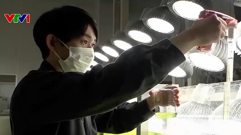 Biến CO2 thành nguồn tài nguyên hữu ích tại Nhật Bản