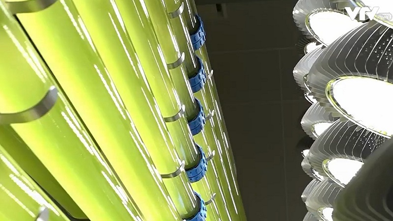 Biến CO2 thành nguồn tài nguyên hữu ích tại Nhật Bản