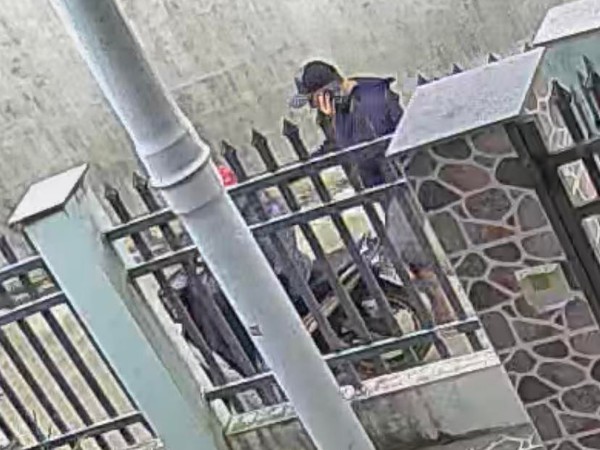 Bình Định: Truy tìm thủ phạm xô cổng xông vào sân bắt trộm chó giữa ban ngày