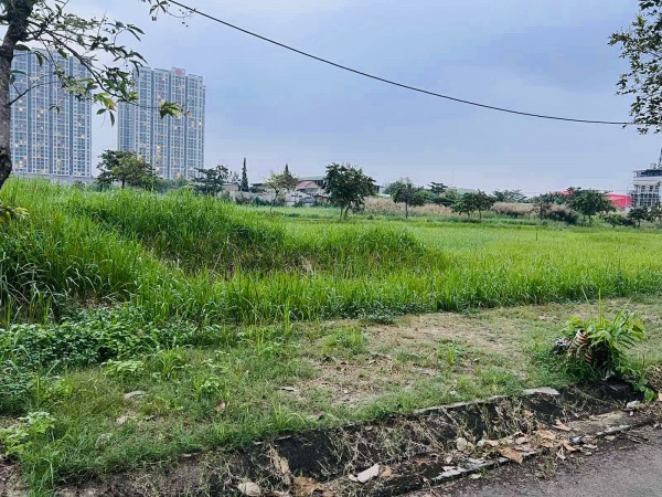 Dự án bất động sản mắc kẹt vì giấy phép con Dự án bất động sản mắc kẹt vì giấy phép con