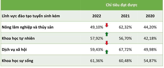 Những ngành tuyển sinh được nhiều nhất và ít nhất 3 năm qua - Ảnh 1.