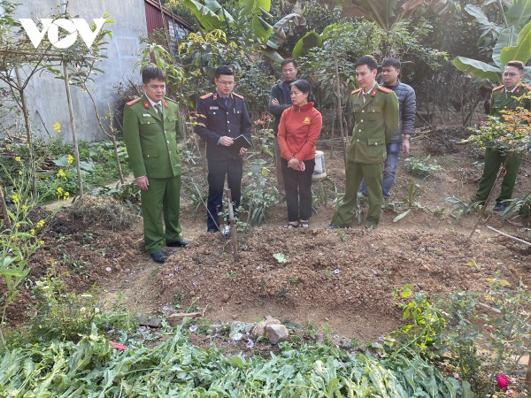 Phát hiện vườn thuốc phiện sắp thu hoạch tại một nhà dân