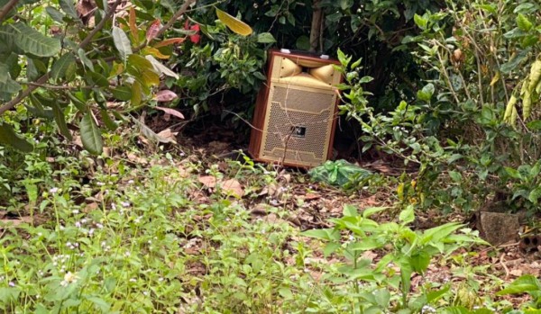 Quảng Trị: TT.Cam Lộ thu hồi văn bản cấm loa kẹo kéo Quảng Trị: TT.Cam Lộ thu hồi văn bản cấm loa kẹo kéo