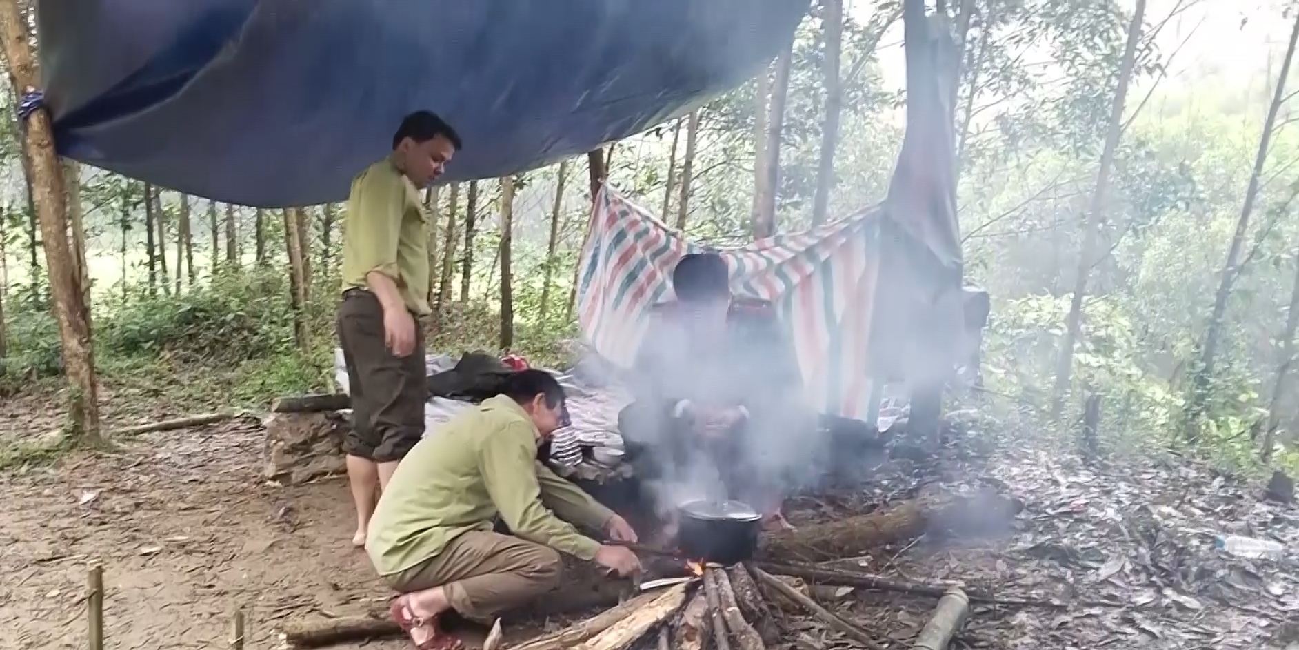 Vụ phá rừng ở Quảng Bình: Sẽ kiểm điểm trách nhiệm kiểm lâm