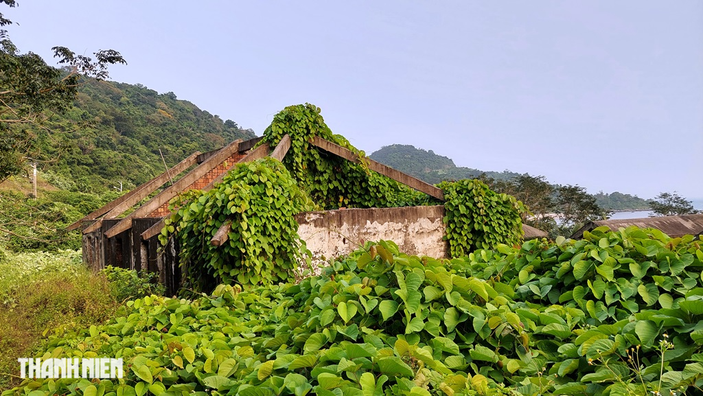 Cận cảnh những dãy biệt thự 