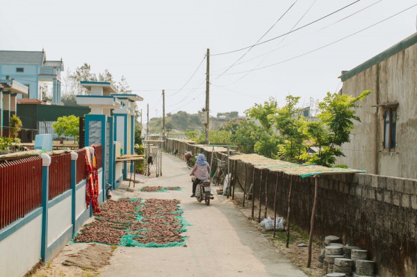 Món khoai đặc sản phải ủ chăn bông 3 ngày, phơi 12 nắng ở Quảng Bình