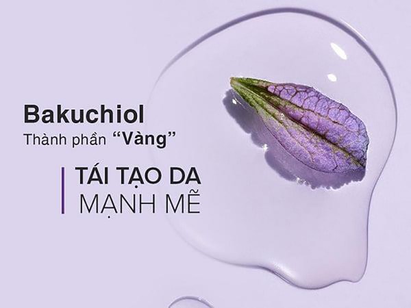 Bakuchiol là gì? Tác dụng kỳ diệu với làn da và lưu ý khi sử dụng