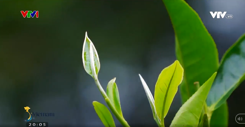 Điều độc nhất vô nhị ở Hà Giang Điều độc nhất vô nhị ở Hà Giang