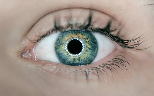 Kiểm tra mắt bằng AI có thể dự đoán chính xác cơn đau tim gây tử vong trong tương lai Kiểm tra mắt bằng AI có thể dự đoán chính xác cơn đau tim gây tử vong trong tương lai