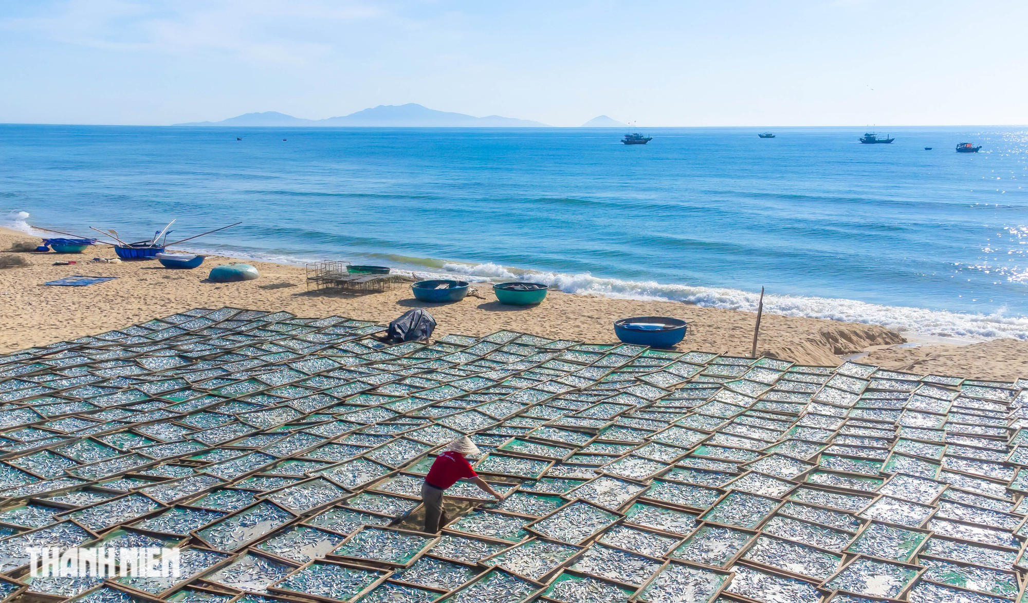 Sắc màu ở chợ cá Bình Minh