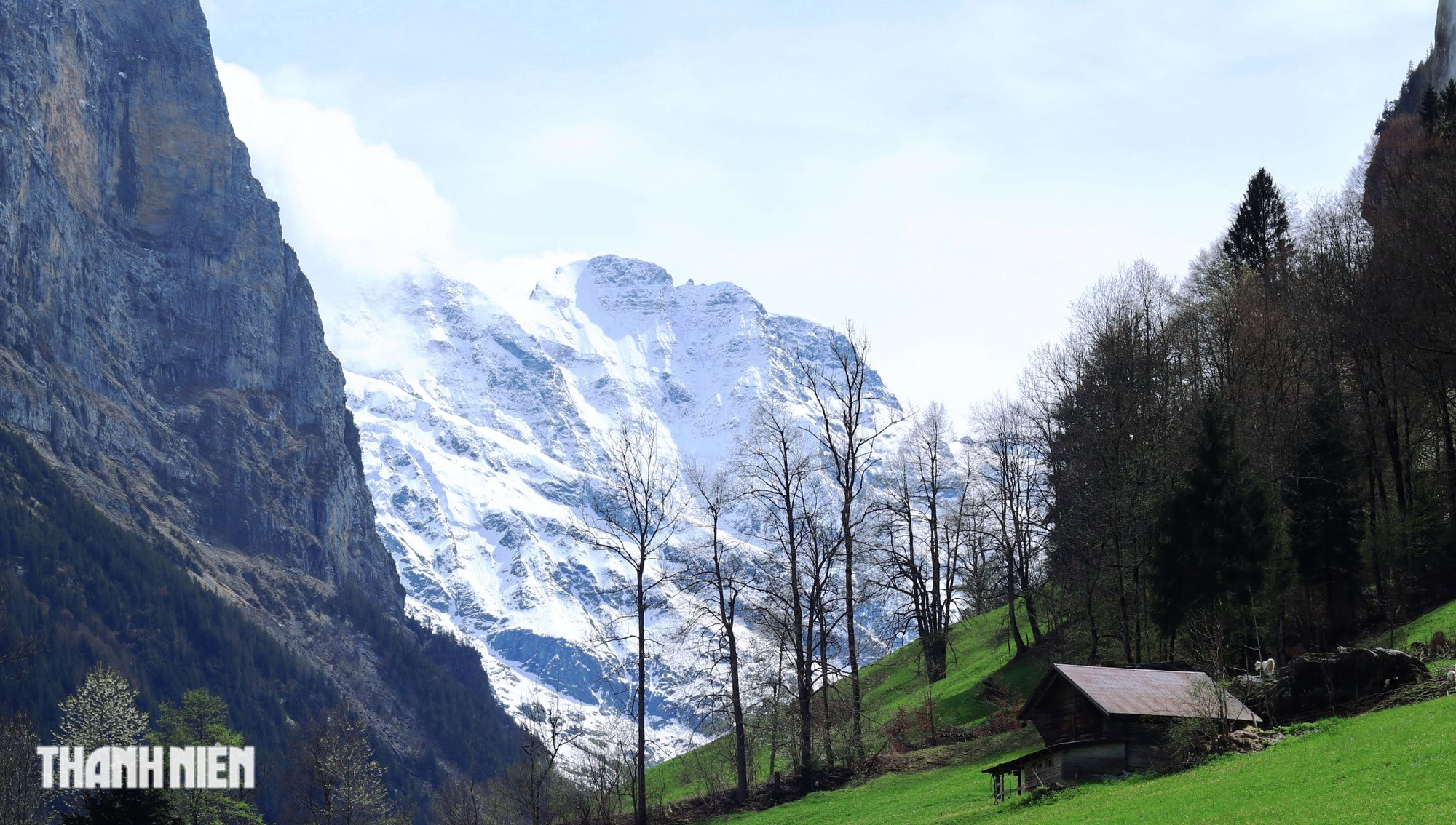 Thụy Sĩ mùa hoa vàng tuyết tan