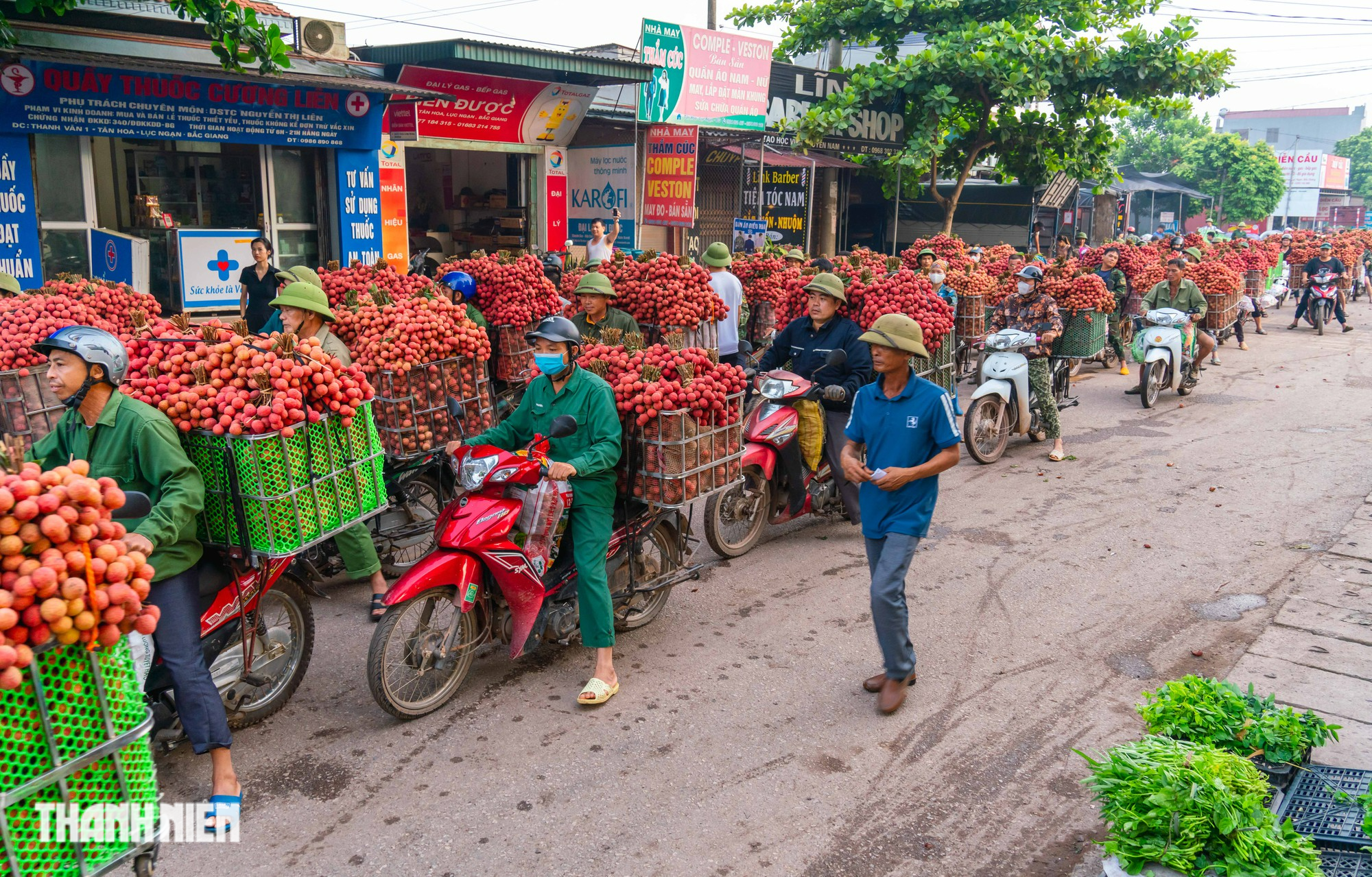 Vải thiều nhuộm đỏ đường quê