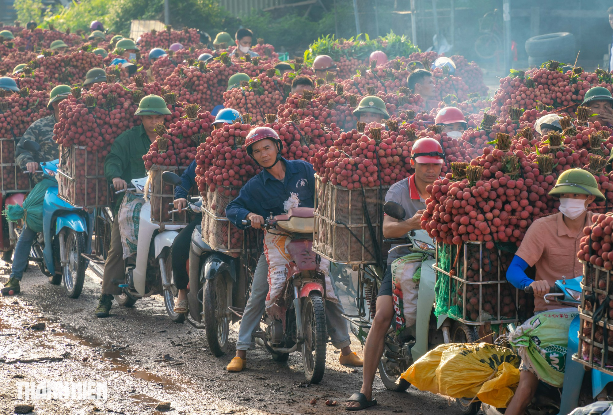 Vải thiều nhuộm đỏ đường quê