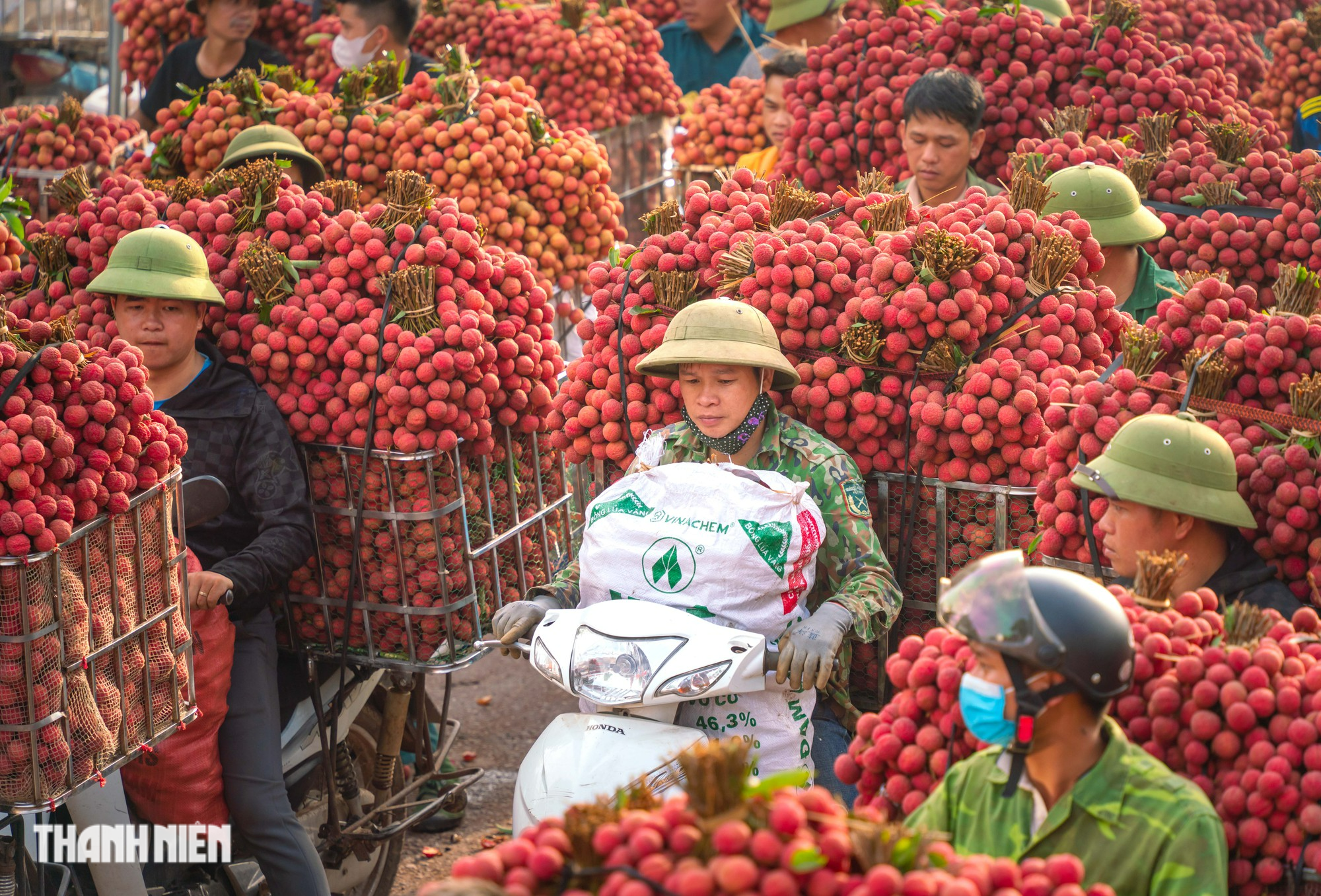 Vải thiều nhuộm đỏ đường quê