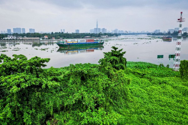 Công viên nước đời đầu tại TP.HCM bỏ hoang, um tùm cây cỏ