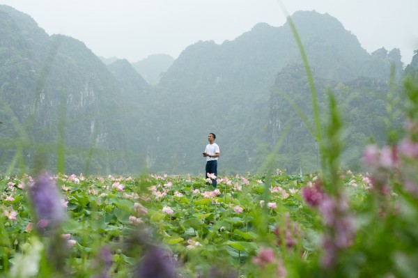 Ngắm sen nở giữa núi đồi cố đô