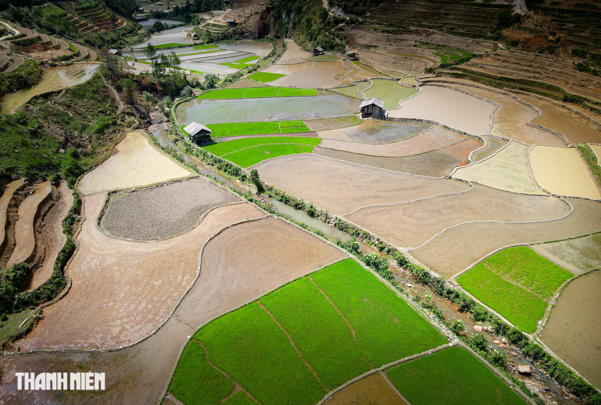 Cảnh 