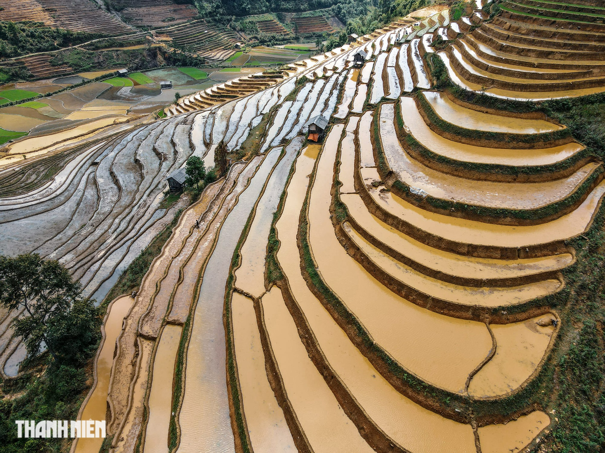 Cảnh 