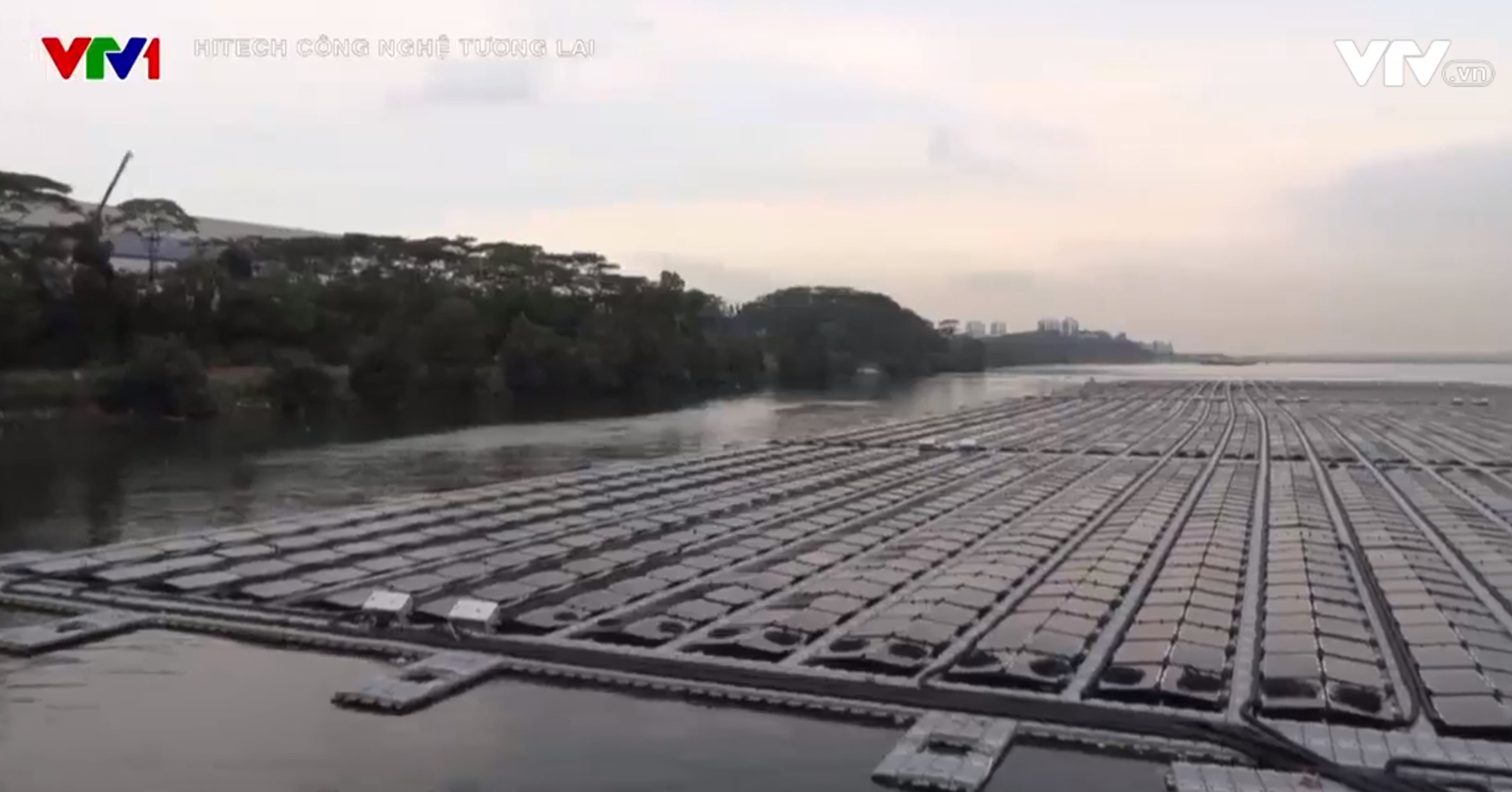 Nỗ lực của các quốc gia trong cuộc đua làm chủ năng lượng tái tạo Nỗ lực của các quốc gia trong cuộc đua làm chủ năng lượng tái tạo